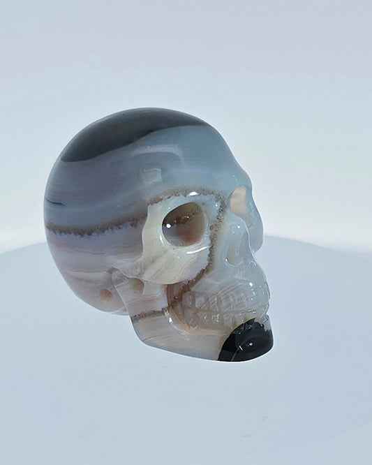 1.1" Agate Carved Gem Skull, Skullis Realistic - 9800078