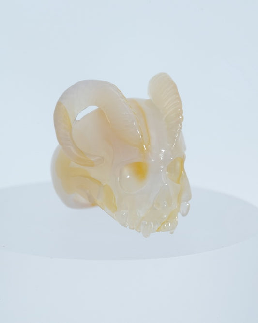 Gem Skull Ring of Agate Carved Skull, US size 7 - 9800117