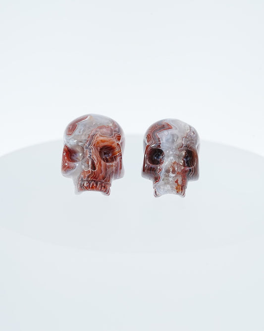 Gem Skull Earrings of Red Crazy Lace Agate Carved Skull, 925 Sterling Silver - 9800182