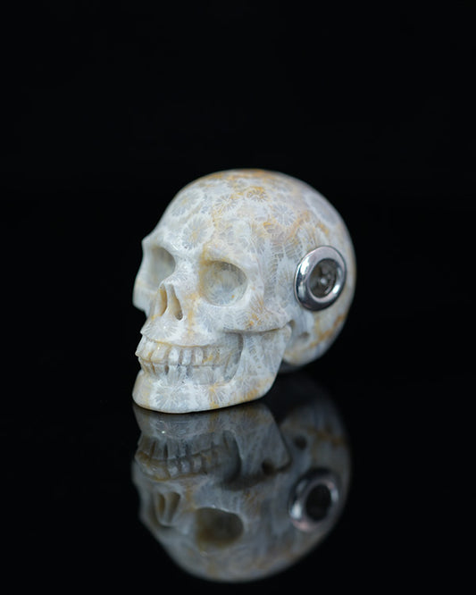 Skullis Signature Coral Fossil Gem Skull Pendant or Necklace, Hand Carved, Sterling Silver 925 Chain, for Women & Men - 9800195