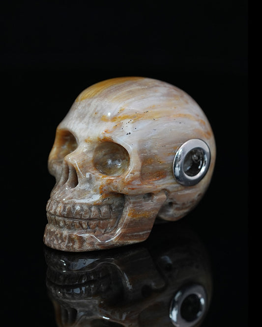 Skullis Signature Petrified Wood Gem Skull Pendant or Necklace, Hand Carved, for Women & Men - 9800197