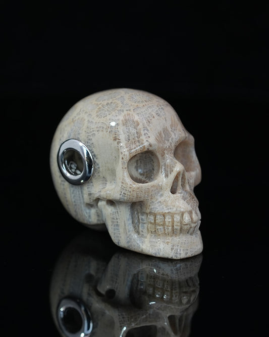 Skullis Signature Coral Fossil Gem Skull Pendant or Necklace, Hand Carved, Sterling Silver 925 Chain, for Women & Men - 9800225