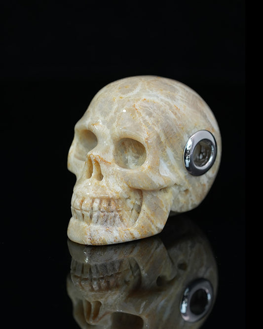 Skullis Signature Coral Fossil Gem Skull Pendant or Necklace, Hand Carved, Sterling Silver 925 Chain, for Women & Men - 9800226