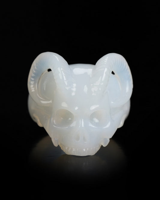 Gem Skull Ring of Agate Carved Beast Skull, US size 12 - 9800245