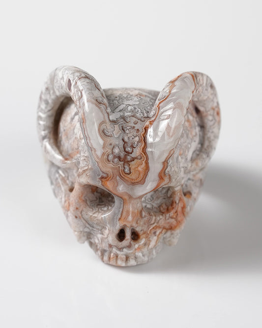 Gem Skull Ring of Red Crazy Lace Agate Carved Beast Skull, US size 9 - 9800273