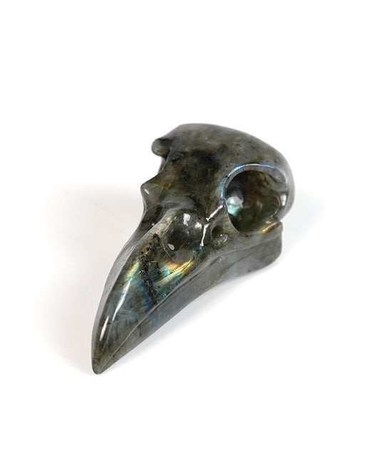 Night Pathfinder - Gem Raven Skull Pendant Necklace of Labradorite Carved Raven Skull - 9900301
