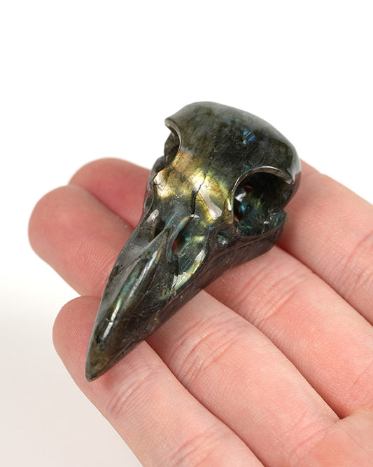 Night Pathfinder - Gem Raven Skull Pendant Necklace of Labradorite Carved Raven Skull - 9900302