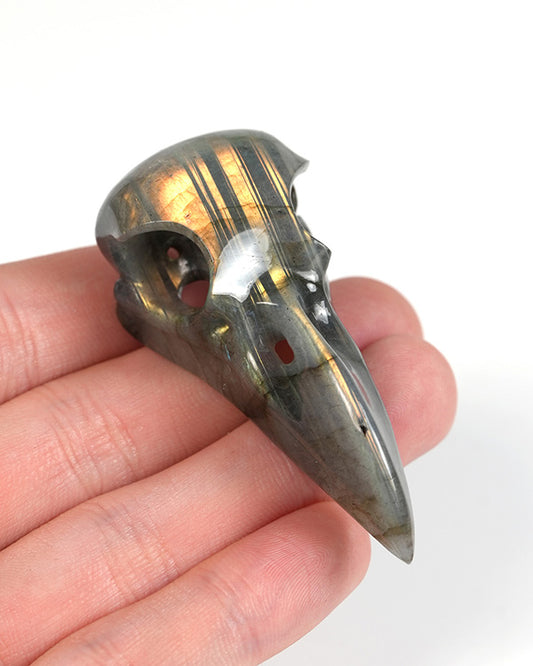 Night Pathfinder - Gem Raven Skull Pendant Necklace of Labradorite Carved Raven Skull - 9900303