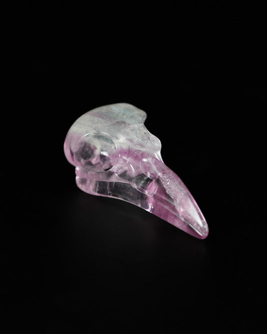 Night Pathfinder - Gem Raven Skull Pendant Necklace of Fluorite Carved Raven Skull - 9900518