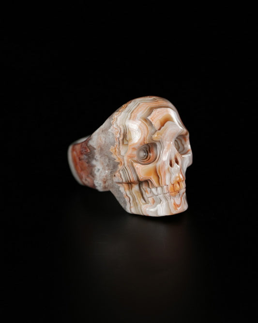 Vein of Life - Gem Skull Ring of Red Crazy Lace Agate Carved Skull, US size 12.5 - 9900520