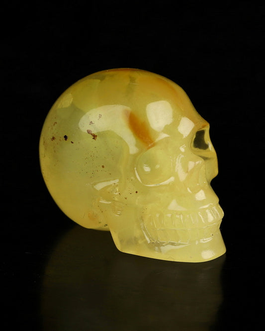Gem Skull of Baltic Amber Carved Skull, Realistic