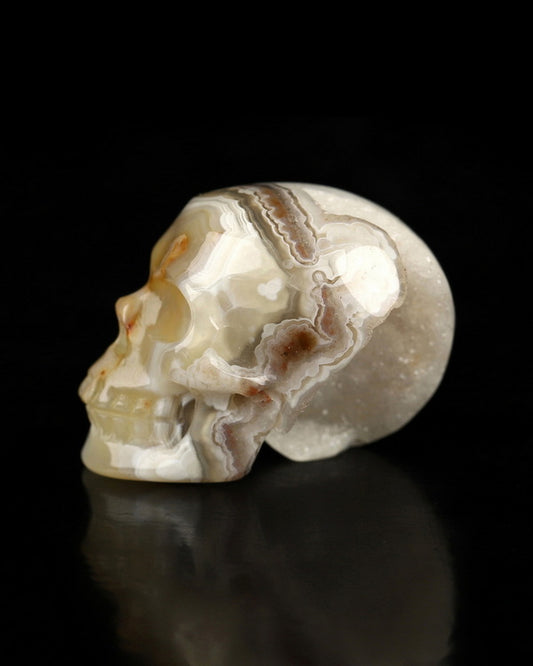 Gem Skull of Red Crazy Lace Agate Carved Skull, Realistic