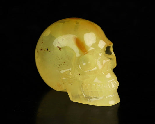 Gem Skull of Baltic Amber Carved Skull, Realistic