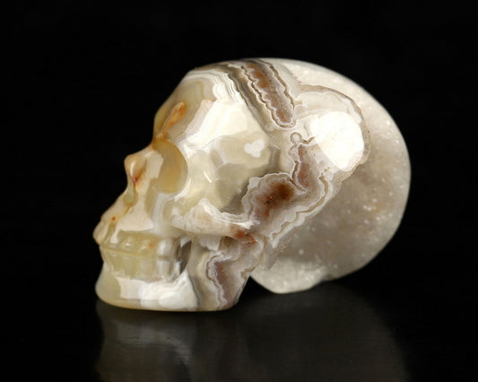 Gem Skull of Red Crazy Lace Agate Carved Skull, Realistic