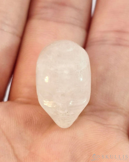 Gem Skull Of Moonstone Carved Fairy Elf Alien Crystal Companion Sculpture Tiny Gemstone