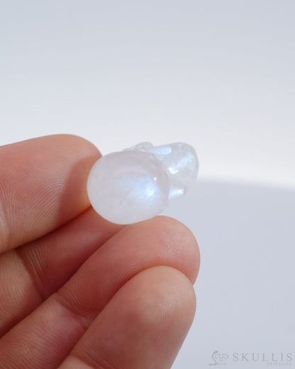 Flash 0.7’’ Moonstone Carved Gem Skull Skullis Realistic - 9500175 Tiny Gemstone