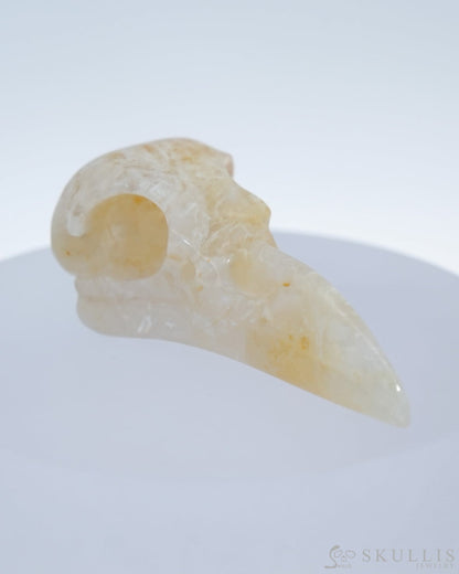 Gem Raven Skull Pendant Necklace Of Agate Crystal - 9500180 Pendants