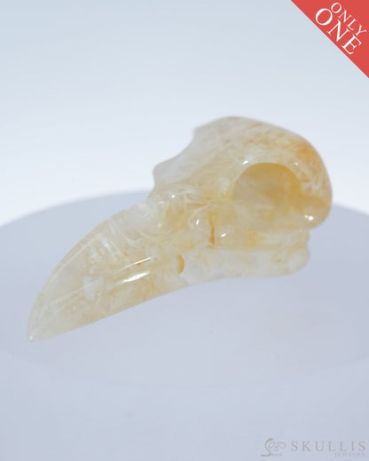 Gem Raven Skull Pendant Necklace Of Agate Crystal - 9500180 Pendants