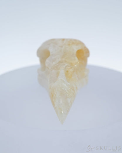 Gem Raven Skull Pendant Necklace Of Agate Crystal - 9500180 Pendants