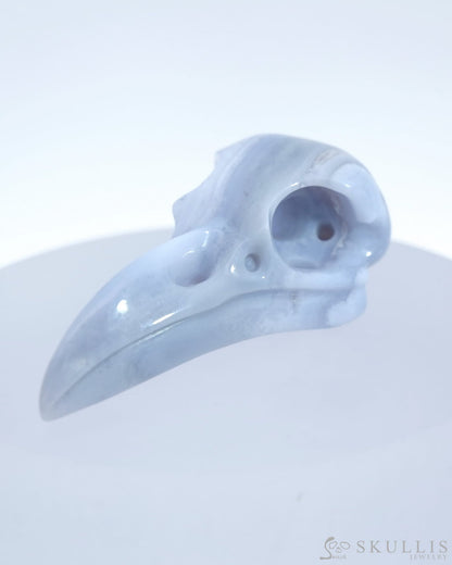 Gem Raven Skull Pendant Necklace Of Blue Lace Agate Crystal - 9500178 Pendants