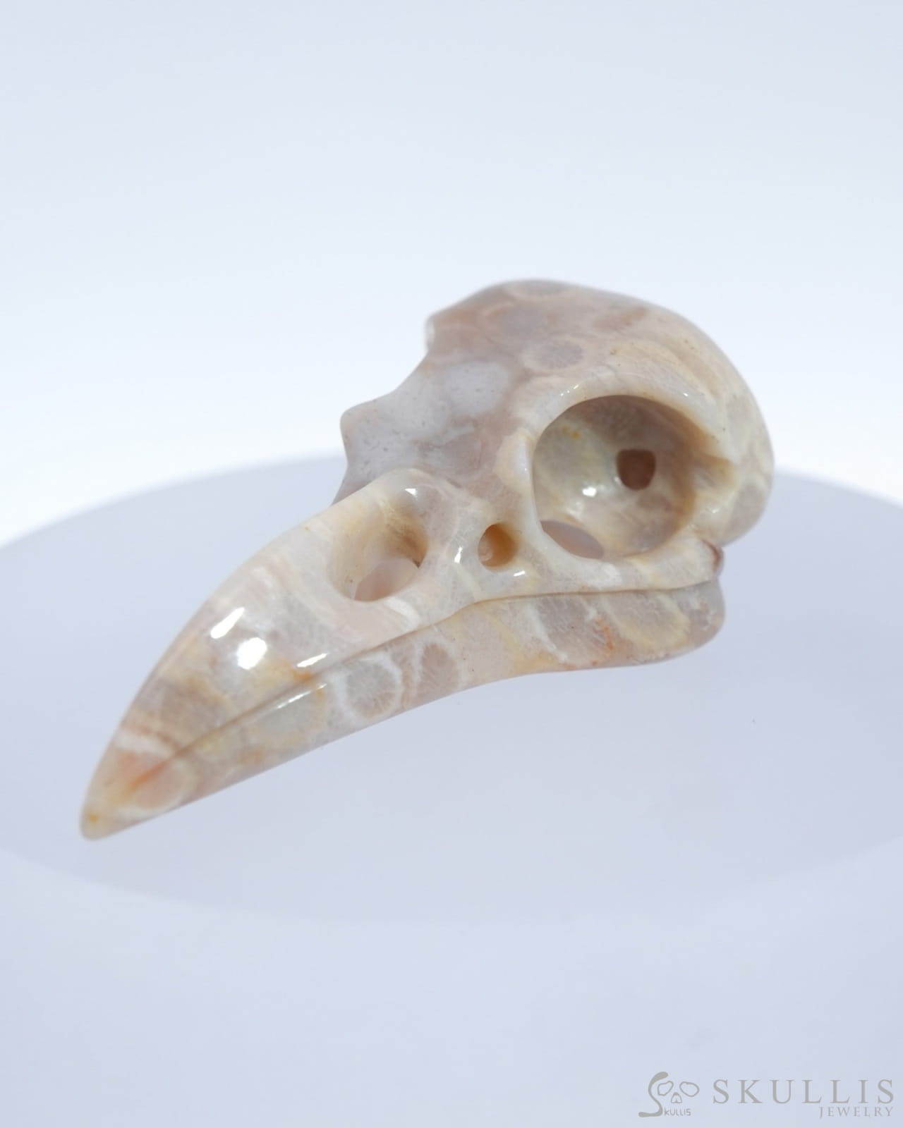 Gem Raven Skull Pendant Necklace Of Coral Fossil Crystal - 9500179 Pendants