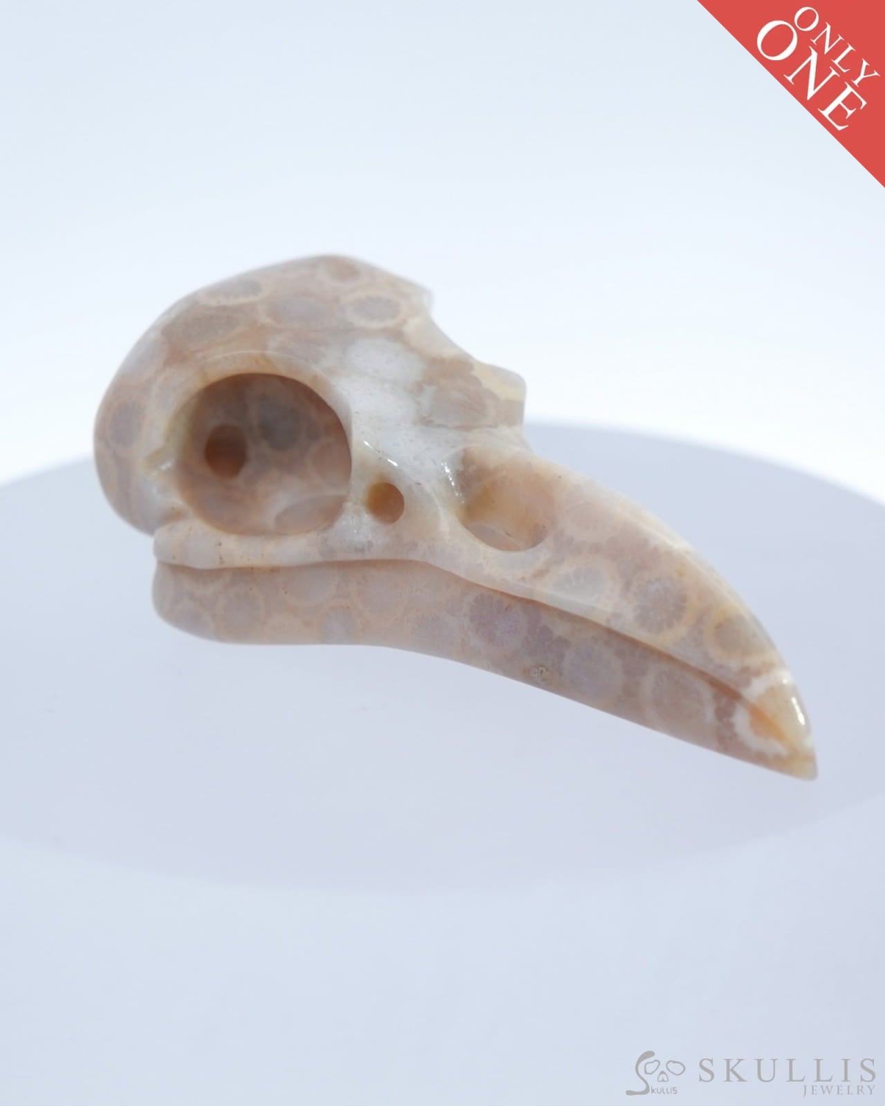 Gem Raven Skull Pendant Necklace Of Coral Fossil Crystal - 9500179 Pendants
