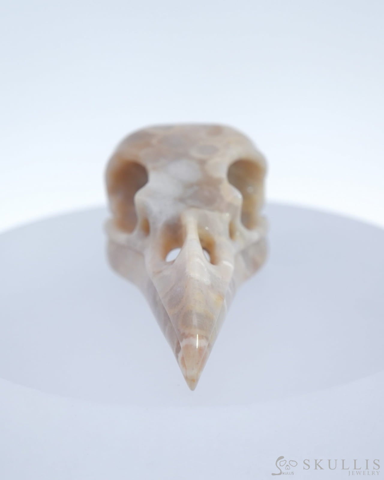 Gem Raven Skull Pendant Necklace Of Coral Fossil Crystal - 9500179 Pendants