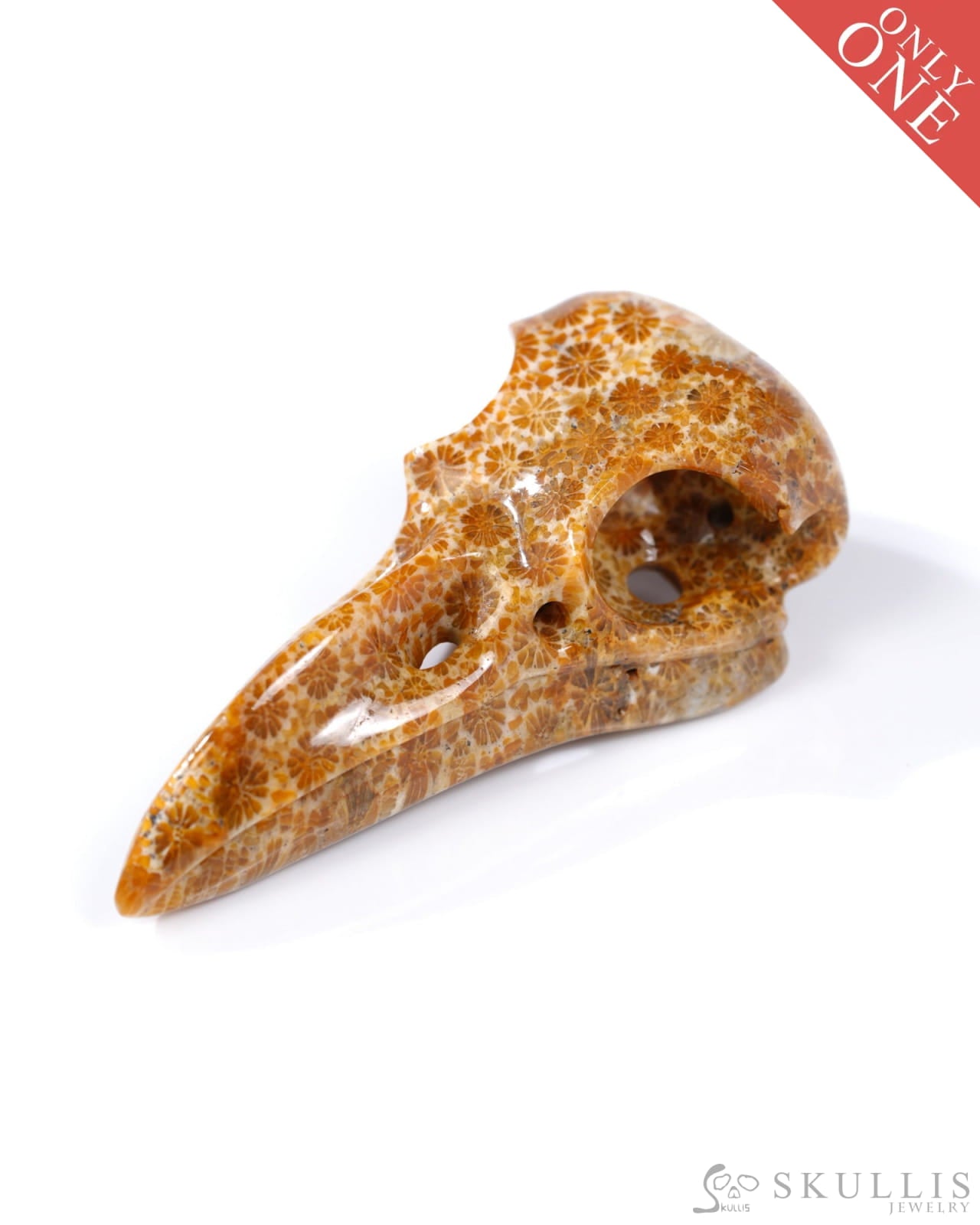 Gem Raven Skull Pendant Necklace of Coral Fossil Crystal Raven Pendant - 9500316 Skull Pendants