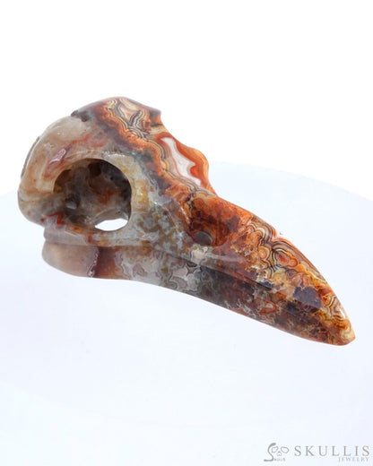 Gem Raven Skull Pendant Necklace Of Red Crazy Lace Agate Carved Raven - 9500162 Pendants