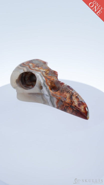 Gem Raven Skull Pendant Necklace Of Red Crazy Lace Agate Carved Raven - 9500169 Pendants
