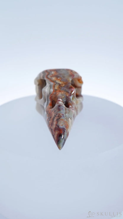 Gem Raven Skull Pendant Necklace Of Red Crazy Lace Agate Carved Raven - 9500169 Pendants