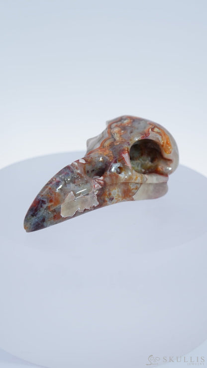 Gem Raven Skull Pendant Necklace Of Red Crazy Lace Agate Carved Raven - 9500169 Pendants