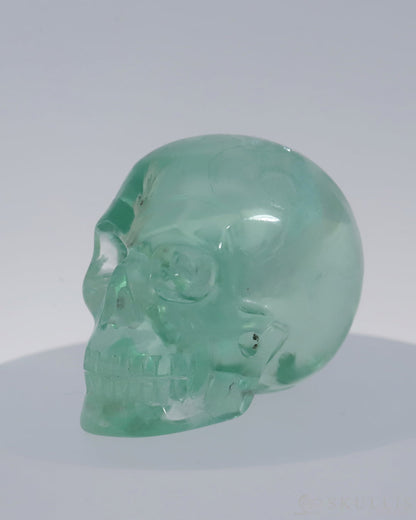 Gem Skull Of Fluorite Carved Realistic Tiny Gemstone