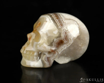 Gem Skull Of Red Crazy Lace Agate Carved Realistic Tiny Gemstone