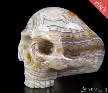 Whole Gem Skull Ring Crazy Lace Agate Carved Totally Us Size 7 Skull Rings