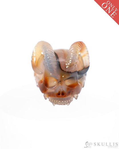 Gem Skull Ring of Premium Brazilian Agate Carved Skull Totally US size 8 - 9500187 Skull Rings