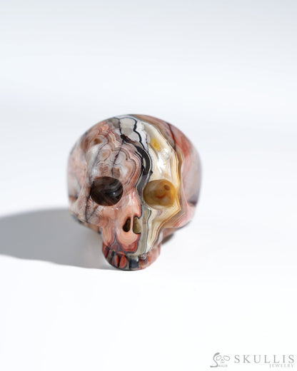 Gem Skull Ring Of Red Crazy Lace Agate Carved Skull In 925 Sterling Silver - 9800119 Us