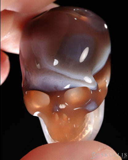 Hollow Essence - Gem Skull Pendant Necklace of Agate Carved Hollow Skull - Y9500454 - Skull Pendants