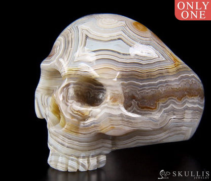 Whole Gem Skull Ring Crazy Lace Agate Carved Totally Us Size 7 Skull Rings
