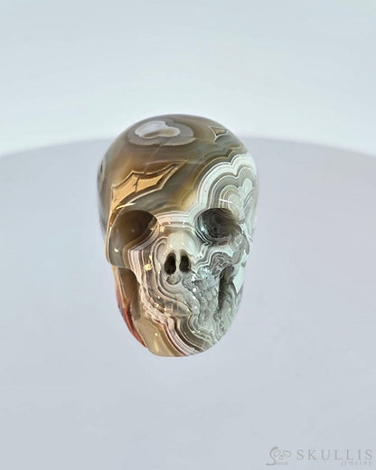 Gem Skull Of Red Crazy Lace Agate Carved Realistic Tiny Gemstone