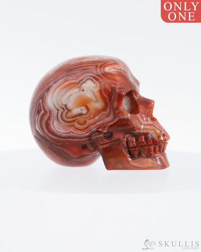 Gem Skull Of Carnelian Carved Realistic Tiny Gemstone