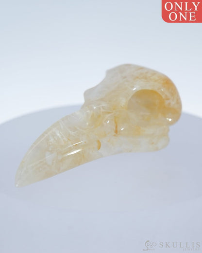 Gem Raven Skull Pendant Necklace Of Agate Crystal - 9500180 Pendants