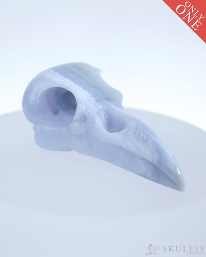Gem Raven Skull Pendant Necklace Of Blue Lace Agate Crystal - 9500178 Pendants