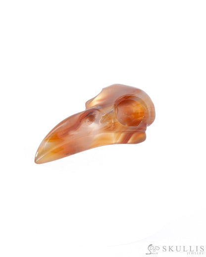 Night Pathfinder - Gem Raven Skull Pendant Necklace of Carnelian Carved Raven Skull - ZR19500186 - Skull Pendants