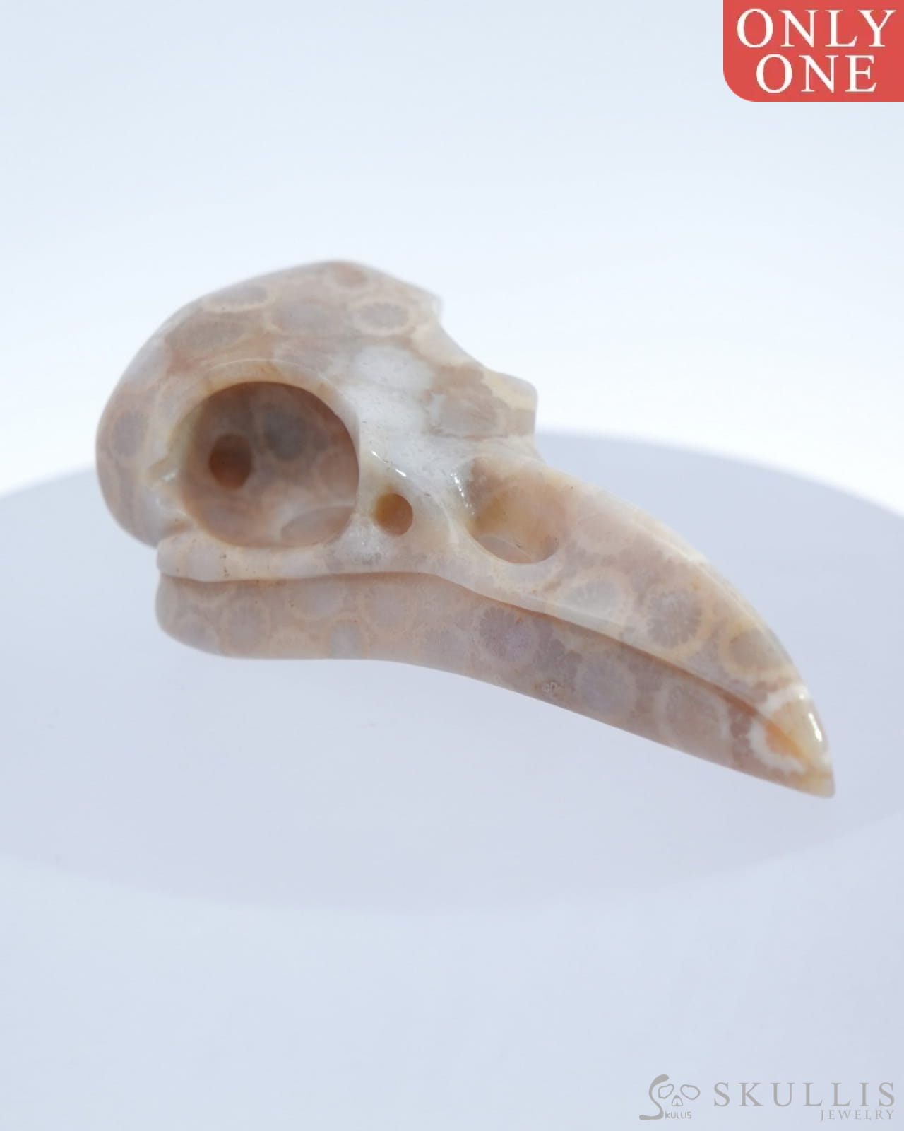 Gem Raven Skull Pendant Necklace Of Coral Fossil Crystal - 9500179 Pendants