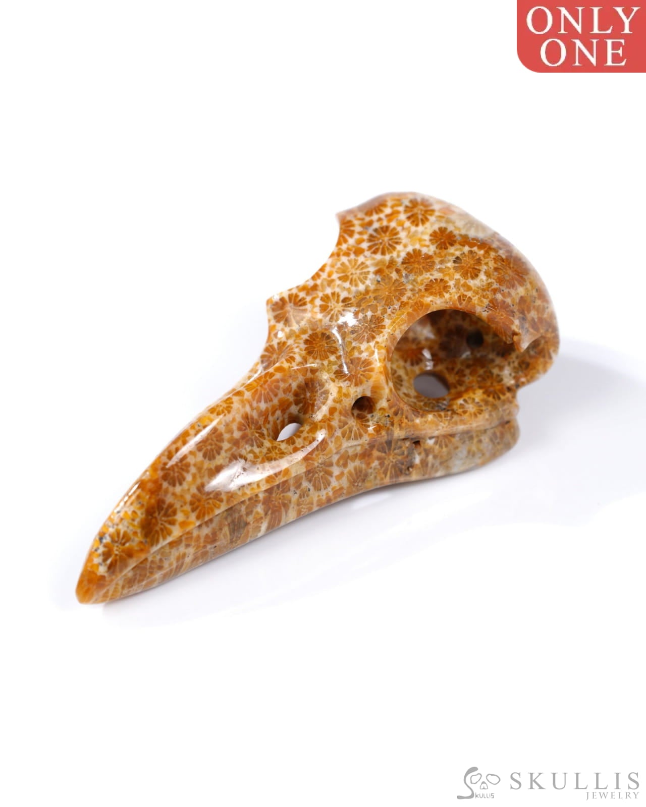 Gem Raven Skull Pendant Necklace of Coral Fossil Crystal Raven Pendant - 9500316 Skull Pendants