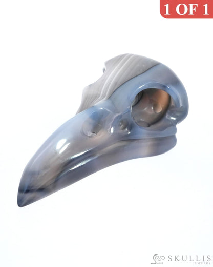 Gem Raven Skull Pendant Necklace Of Gray & White Agate Carved Raven - 9500163 Pendants