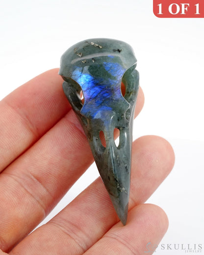 Gem Raven Skull Pendant Necklace Of Labradorite Carved - 9500121 Pendants