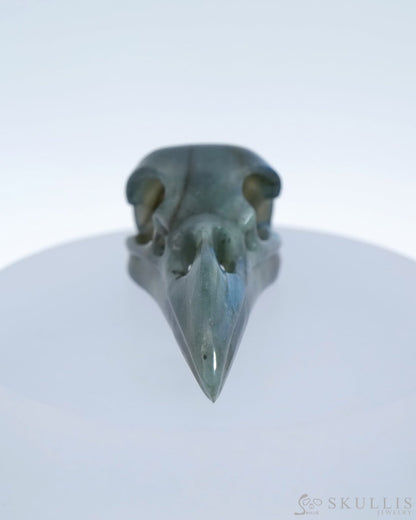 Gem Raven Skull Pendant Necklace Of Labradorite Carved - 9500182 Pendants