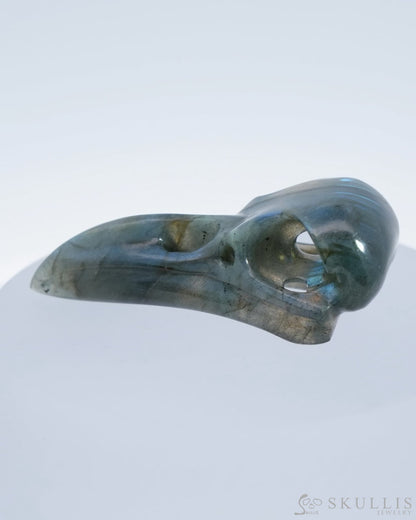 Gem Raven Skull Pendant Necklace Of Labradorite Carved - 9500182 Pendants